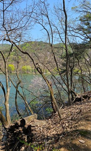 [기자단] 푸르른 용계저수지 둘레길 숲길을 따라 걸어보기