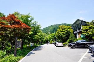 [기자단] 음성의 초여름 신록 백야자연휴양림 수목원