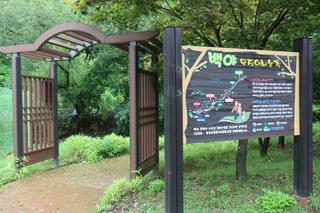 [기자단] 음성 여름휴양지 추천 백야자연휴양림