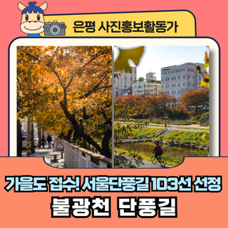 [카메라로 담은-평] 가을도 접수❗ 서울단풍길 103선 선정된 '불광천 단풍길' 풍경