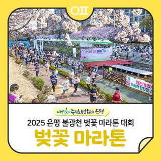 ♂️➡️2025 은평 불광천 벚꽃 마라톤 대회 "5㎞, 10㎞ 코스" 3.13.(목) 10시 접수