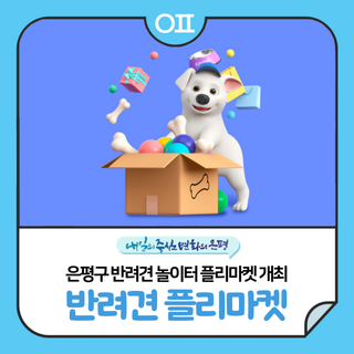 은평구 반려견 놀이터 플리마켓 개최 "반려동물 용품 특별가 판매, 전문훈련사 무료 상담 등" (6/28)