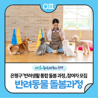 은평구  「반려생활 통합 돌봄 과정」 신청 안내 "반려동물 올바른 케어방법 배워요!"