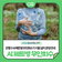 은평구 AI 페트병 무인회수기 시범 설치 운영 안내♻️"깨끗한 페트병 1개당 25포인트 적립"