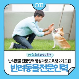 2025 은평구 반려동물 전문인력 양성과정 교육생 2기 모집"반려동물 관련 직업훈련교육 및 취업 연계"(~9/14)