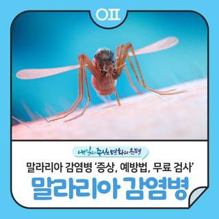 말라리아 감염병 경보 "증상, 예방법, 무료 검사(은평구보건소) 안내"