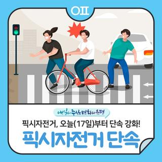 픽시자전거 오늘부터 집중 단속 강화! "단속 대상, 근거, 벌금 등 안내"