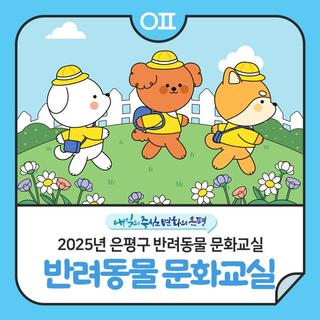은평구 반려동물 문화교실 "행동교정교육(공격성, 분리불안 등), 반려견 놀이터 친구 만들기"
