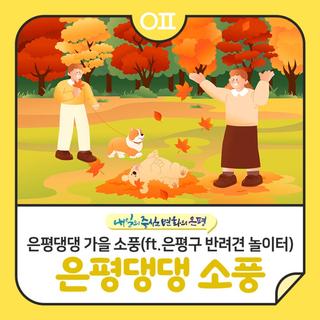 은평댕댕 가을 소풍 행사 "은평구 반려견 놀이터 : 행동산책교육, 플리마켓 등"