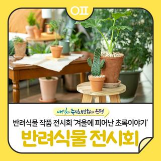 반려식물 작품 전시회 "겨울에 피어난 초록이야기 : 식물과 교류하는 시간"