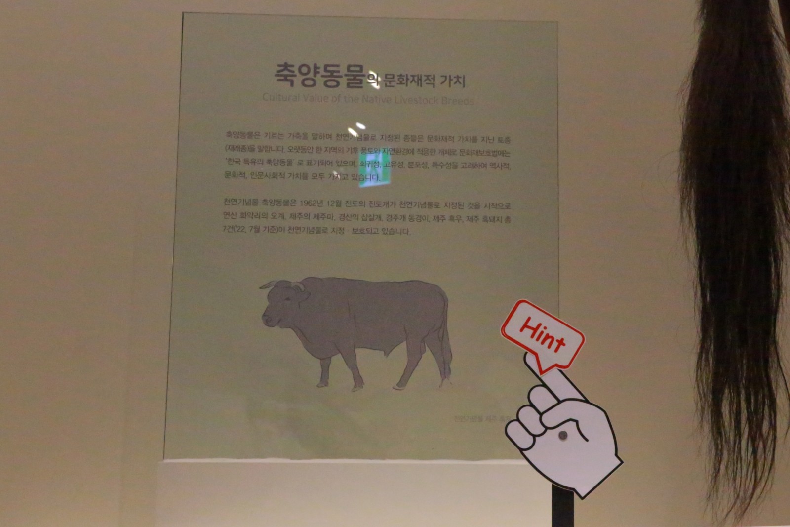 대전 서구 아이와 함께 가기 좋은 전시관 나들이 천연기념물센터! | 대전광역시 서구 | 웰로