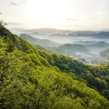 대전의 명산, 구봉산의 최단 코스와 조망