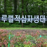 도심 속 자연학교, 대전 서구 노루벌적십자생태원