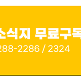 대전 서구 7월의 청년정보