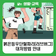 여름철 붉은등우단털파리(러브버그) 대처방법 안내