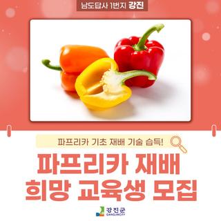 강진군 관내·외 파프리카 재배 희망 교육생 모집