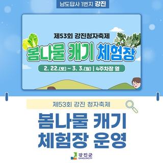 제53회 강진청자축제 봄나물 캐기 체험장 운영