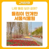 여기 혹시, 네덜란드?