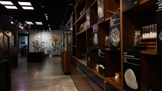 [명예기자] 씨앗도서관 : 씨앗 한 톨로 시작하는 자연 속 여정