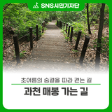 초여름의 숨결을 따라 걷는 길 – 과천 매봉 가는 길