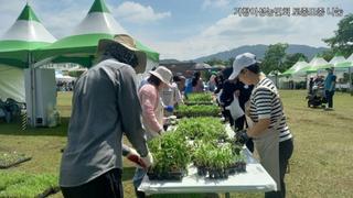 거창군여성농민회 토종종자 나눔 행사, 귀한 모종 만나는 시간 - 조연우 기자