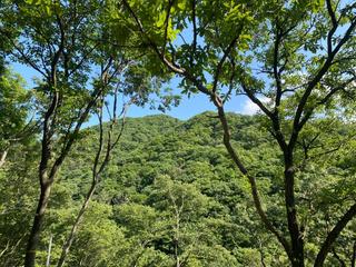 더위를 식혀주고 재미를 더해줄 문동 도시숲