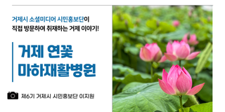 거제 여름여행 연꽃 즐기기 마하 재활병원