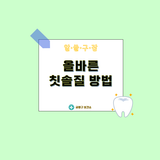 알·쓸·구·잡｜올바른 칫솔질 방법