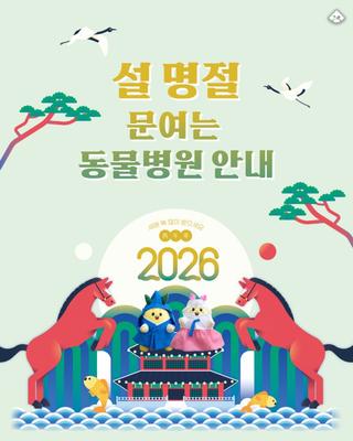 부산시 내 설 명절 문여는 동물병원 안내