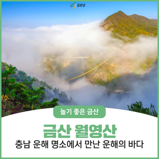 충남 운해 명소, 금산군 월영산에서 만난 운해의 바다