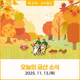 오늘의 금산 소식 11월 13일(목) 새소식 · 고시공고