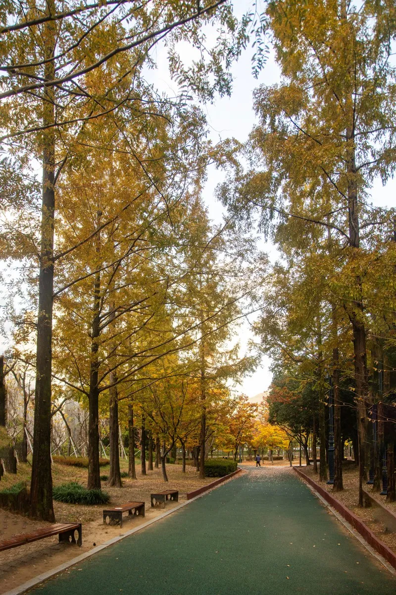 단풍이 아름다운 내외로 거북 공원과 행복한 주민 | 경상남도 김해시 | 웰로