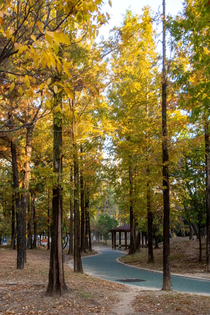 단풍이 아름다운 내외로 거북 공원과 행복한 주민 | 경상남도 김해시 | 웰로