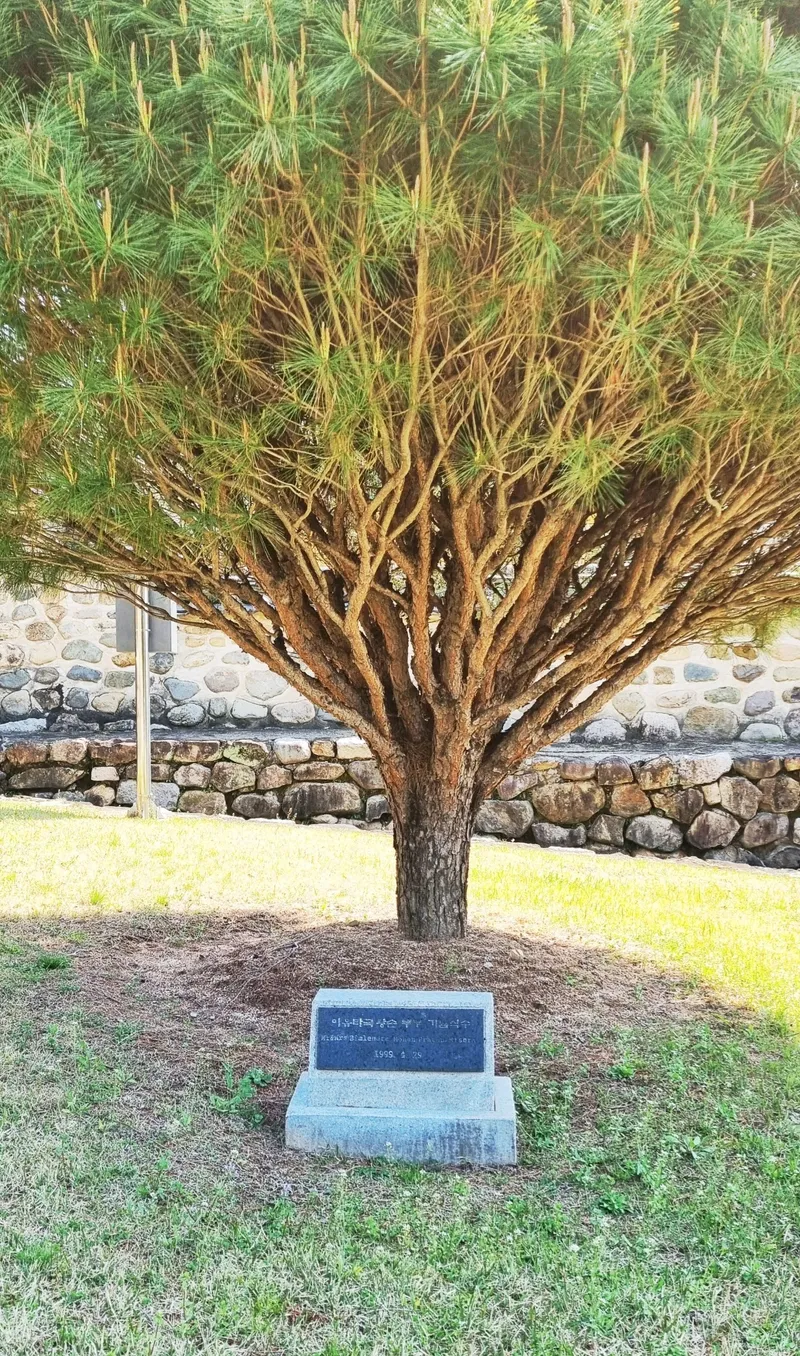 가야의 왕비 허황옥, 비밀의 숲길 따라 수로왕비릉 탐방 | 경상남도 김해시 | 웰로