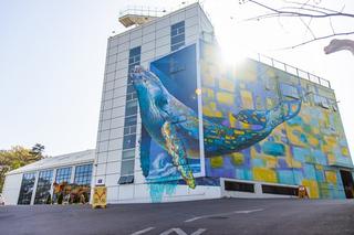 에메랄드빛 바다에 온 듯 시원한 인테리어와 신선하고 다양한 빵이 있는 김포 초대형카페 수산공원