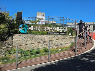 김포 가볼만한곳 애기봉 평화생태공원 북한뷰를 보는 전망대