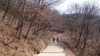 초보자를  위한 등산코스 경기광주 국수봉