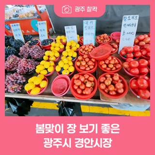 봄맞이 경안시장에서 장 봐요~