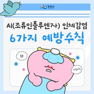 AI(조류인플루엔자) 인체감염, 정확히 알면 예방할 수 있어요!
