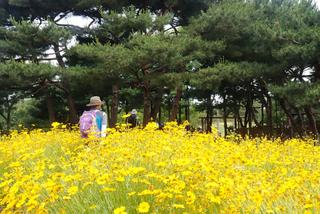 도덕산과 구름산의 여름꽃 마중