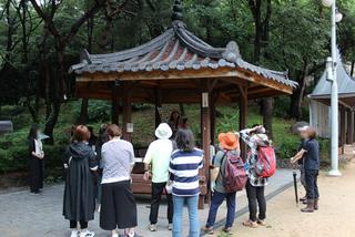 일상에서 만나는 동식물, 자세히 보면 더 아름다운 세상을 만나게 됩니다