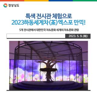 하동세계차엑스포 이렇게 관람하세요 특색 전시관 체험으로 2023하동세계차(茶)엑스포 만끽!