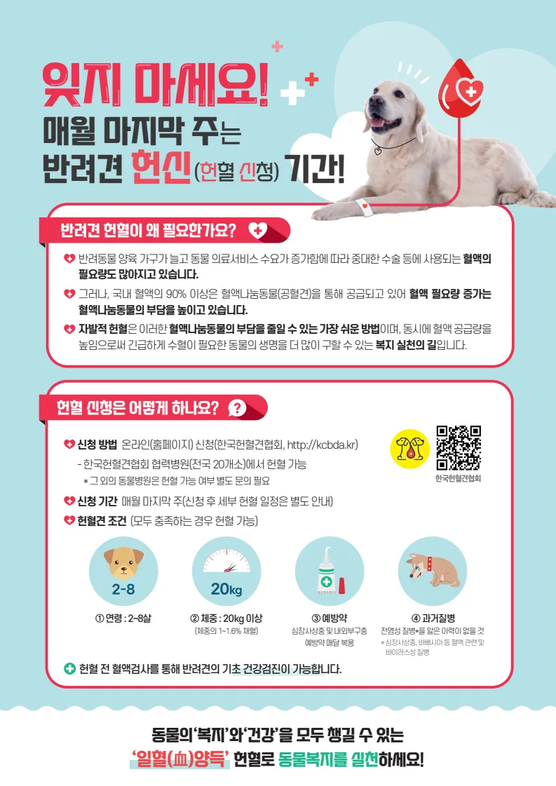 반려견도 헌혈이 필요합니다 | 경상남도 | 웰로