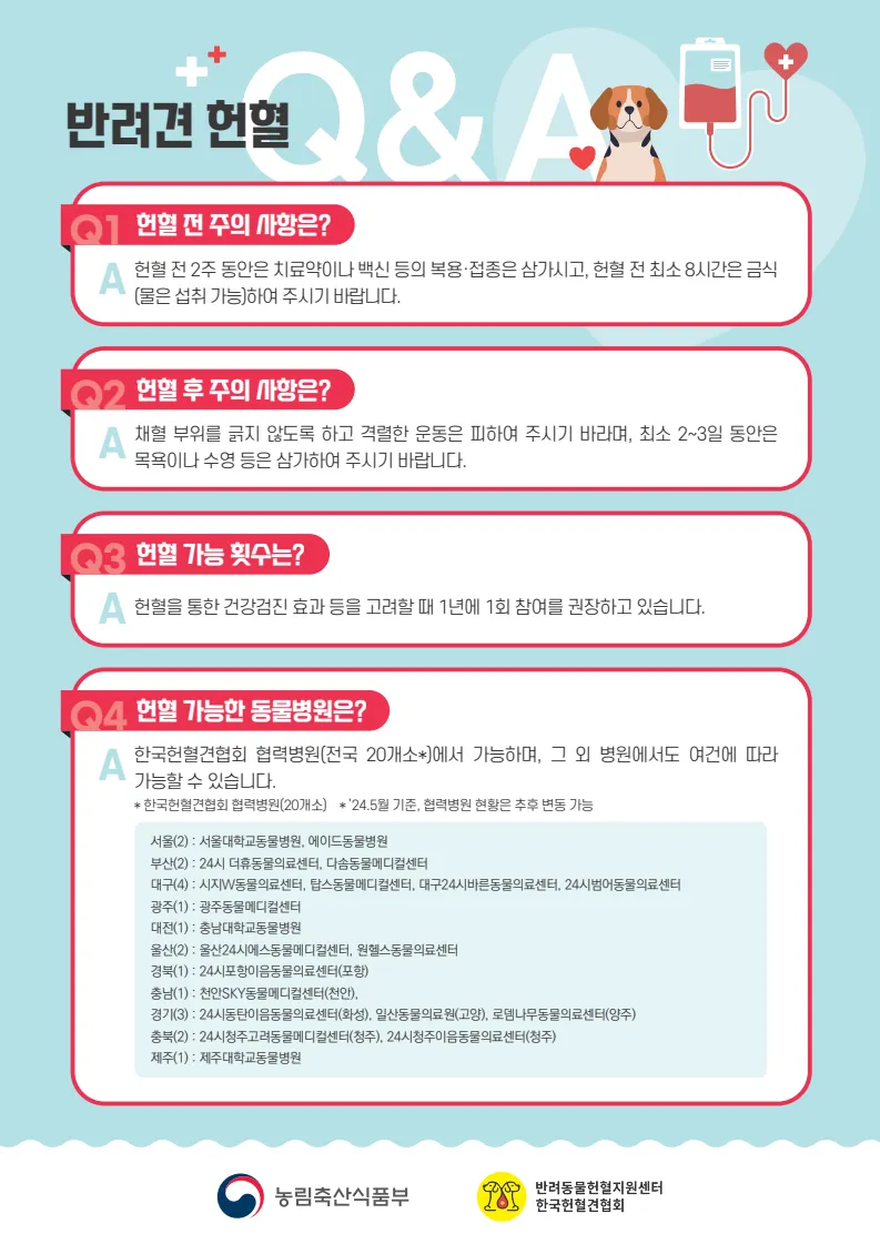 반려견도 헌혈이 필요합니다 | 경상남도 | 웰로