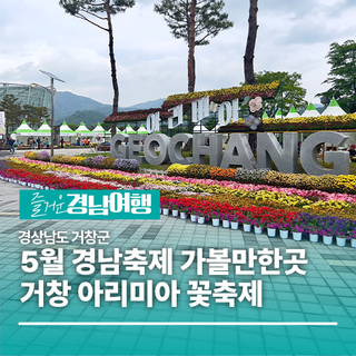 [경남/거창]5월 경남축제 가볼만한곳 거창 아리미아 꽃축제