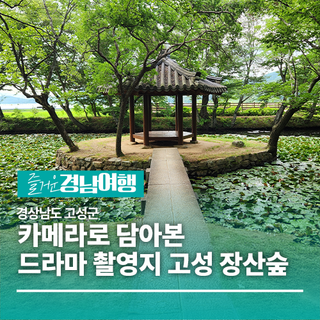 [경남/고성]카메라로 담아본 드라마 촬영지 고성 장산숲