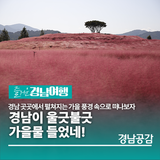 경남이 울긋불긋 가을물 들었네!