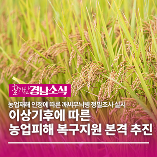 경상남도, 이상기후에 따른 농업피해 복구지원 본격 추진