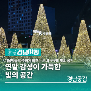 연말 감성이 가득한 빛의 공간