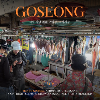 서부 경남 최대 규모 오일장, 고성시장!